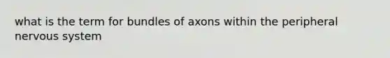 what is the term for bundles of axons within the peripheral nervous system