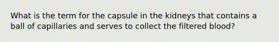 What is the term for the capsule in the kidneys that contains a ball of capillaries and serves to collect the filtered blood?