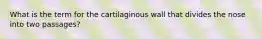 What is the term for the cartilaginous wall that divides the nose into two passages?