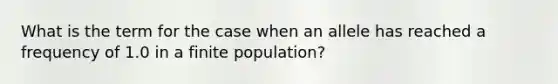 What is the term for the case when an allele has reached a frequency of 1.0 in a finite population?