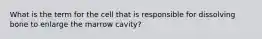 What is the term for the cell that is responsible for dissolving bone to enlarge the marrow cavity?