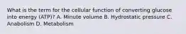 What is the term for the cellular function of converting glucose into energy​ (ATP)? A. Minute volume B. Hydrostatic pressure C. Anabolism D. Metabolism