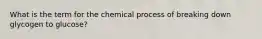 What is the term for the chemical process of breaking down glycogen to glucose?