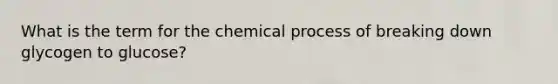 What is the term for the chemical process of breaking down glycogen to glucose?