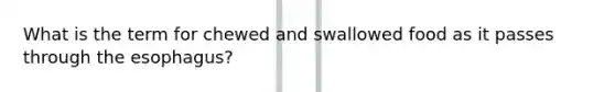 What is the term for chewed and swallowed food as it passes through the esophagus?