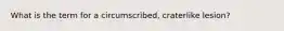 What is the term for a circumscribed, craterlike lesion?