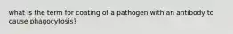 what is the term for coating of a pathogen with an antibody to cause phagocytosis?