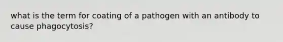 what is the term for coating of a pathogen with an antibody to cause phagocytosis?