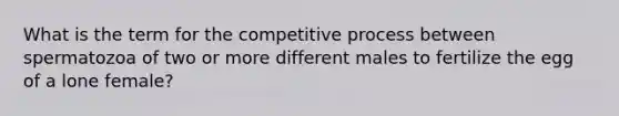 What is the term for the competitive process between spermatozoa of two or more different males to fertilize the egg of a lone female?