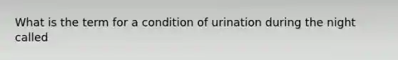 What is the term for a condition of urination during the night called