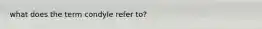 what does the term condyle refer to?