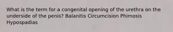 What is the term for a congenital opening of the urethra on the underside of the penis? Balanitis Circumcision Phimosis Hypospadias