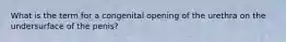 What is the term for a congenital opening of the urethra on the undersurface of the penis?