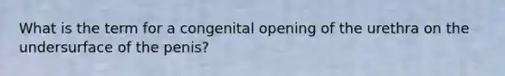 What is the term for a congenital opening of the urethra on the undersurface of the penis?