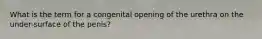 What is the term for a congenital opening of the urethra on the under-surface of the penis?