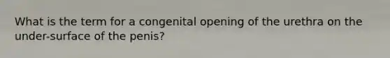 What is the term for a congenital opening of the urethra on the under-surface of the penis?