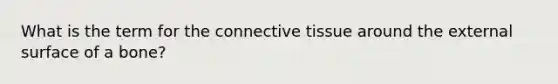 What is the term for the connective tissue around the external surface of a bone?