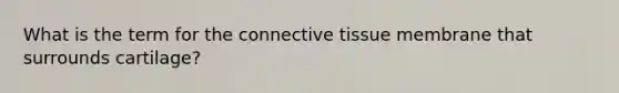 What is the term for the connective tissue membrane that surrounds cartilage?