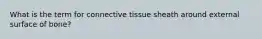 What is the term for connective tissue sheath around external surface of bone?