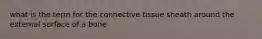 what is the term for the connective tissue sheath around the external surface of a bone
