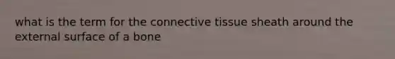 what is the term for the connective tissue sheath around the external surface of a bone