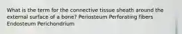 What is the term for the connective tissue sheath around the external surface of a bone? Periosteum Perforating fibers Endosteum Perichondrium