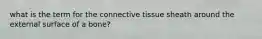 what is the term for the connective tissue sheath around the external surface of a bone?