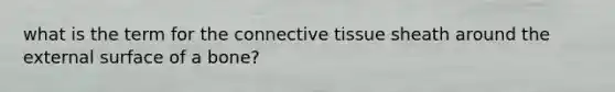 what is the term for the connective tissue sheath around the external surface of a bone?