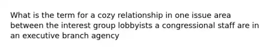 What is the term for a cozy relationship in one issue area between the interest group lobbyists a congressional staff are in an executive branch agency