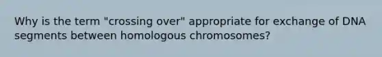 Why is the term "crossing over" appropriate for exchange of DNA segments between homologous chromosomes?