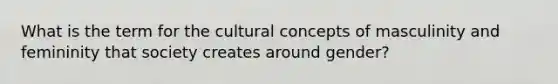 What is the term for the cultural concepts of masculinity and femininity that society creates around gender?