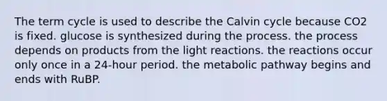 The term cycle is used to describe the Calvin cycle because CO2 is fixed. glucose is synthesized during the process. the process depends on products from the <a href='https://www.questionai.com/knowledge/kSUoWrrvoC-light-reactions' class='anchor-knowledge'>light reactions</a>. the reactions occur only once in a 24-hour period. the metabolic pathway begins and ends with RuBP.