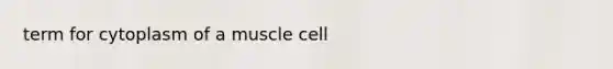 term for cytoplasm of a muscle cell