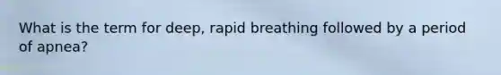 What is the term for deep, rapid breathing followed by a period of apnea?