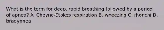 What is the term for deep, rapid breathing followed by a period of apnea? A. Cheyne-Stokes respiration B. wheezing C. rhonchi D. bradypnea