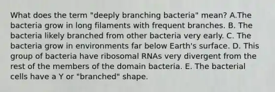 What does the term "deeply branching bacteria" mean? A.The bacteria grow in long filaments with frequent branches. B. The bacteria likely branched from other bacteria very early. C. The bacteria grow in environments far below Earth's surface. D. This group of bacteria have ribosomal RNAs very divergent from the rest of the members of the domain bacteria. E. The bacterial cells have a Y or "branched" shape.