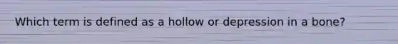 Which term is defined as a hollow or depression in a bone?