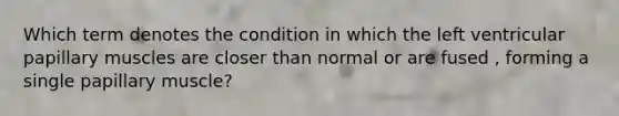 Which term denotes the condition in which the left ventricular papillary muscles are closer than normal or are fused , forming a single papillary muscle?