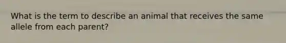 What is the term to describe an animal that receives the same allele from each parent?