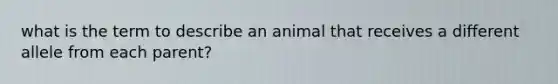 what is the term to describe an animal that receives a different allele from each parent?