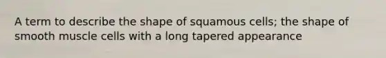 A term to describe the shape of squamous cells; the shape of smooth muscle cells with a long tapered appearance