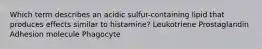 Which term describes an acidic sulfur-containing lipid that produces effects similar to histamine? Leukotriene Prostaglandin Adhesion molecule Phagocyte