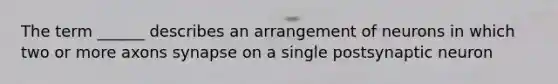 The term ______ describes an arrangement of neurons in which two or more axons synapse on a single postsynaptic neuron