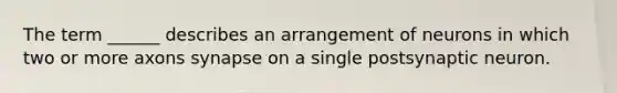 The term ______ describes an arrangement of neurons in which two or more axons synapse on a single postsynaptic neuron.