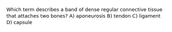 Which term describes a band of dense regular connective tissue that attaches two bones? A) aponeurosis B) tendon C) ligament D) capsule