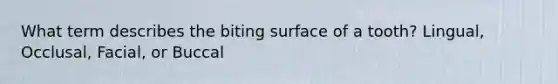 What term describes the biting surface of a tooth? Lingual, Occlusal, Facial, or Buccal