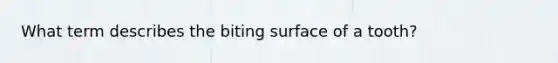 What term describes the biting surface of a tooth?