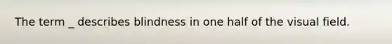 The term _ describes blindness in one half of the visual field.