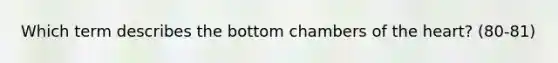 Which term describes the bottom chambers of the heart? (80-81)