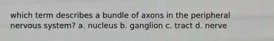 which term describes a bundle of axons in the peripheral nervous system? a. nucleus b. ganglion c. tract d. nerve